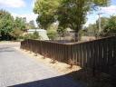 Red Cordylines along drive with river stones