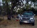 Camping at The Bungle Bungles -slept in the Prado