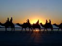 A camel ride at Broome